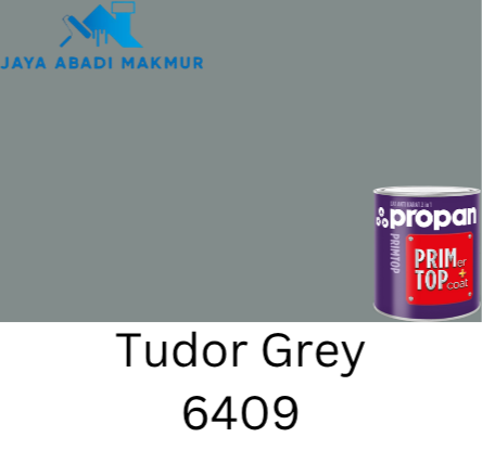 Propan Primtop 88 Gloss 1 kg / Custom Tinting / Propan Primtop Katalog