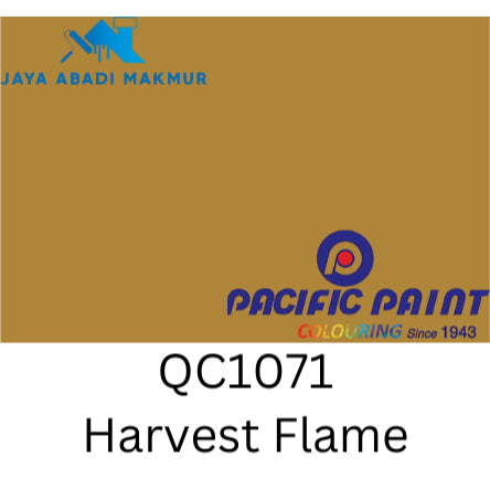 Pacific Paint MetroRoof Cat Genteng Anti Bocor & Lumut 4 kg - Semi Kilap Etalase 2