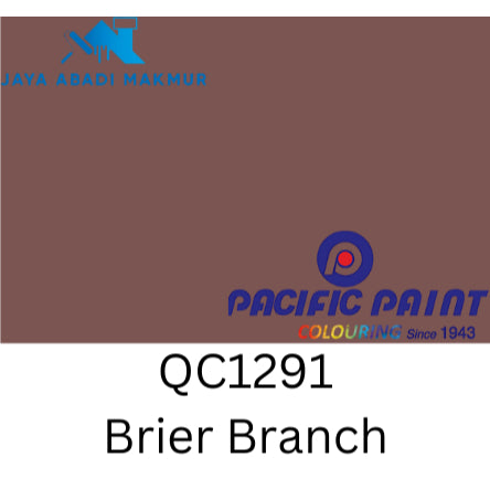 Pacific Paint MetroRoof Cat Genteng Anti Bocor & Lumut 4 kg - Semi Kilap Etalase 2